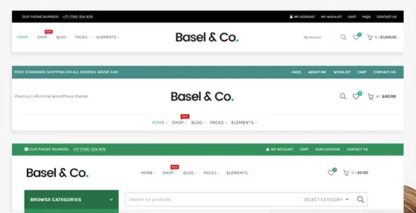 Basel v5.5.1