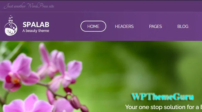 Spa Lab v5.0